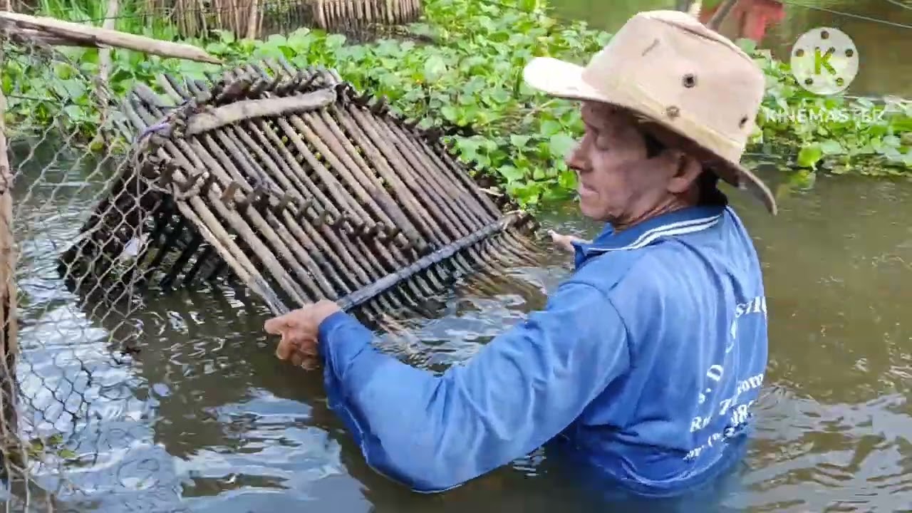 🐠 PEGAMOS MUITOS PEIXES NA NOSSA PESCARIA COM CURRAL,