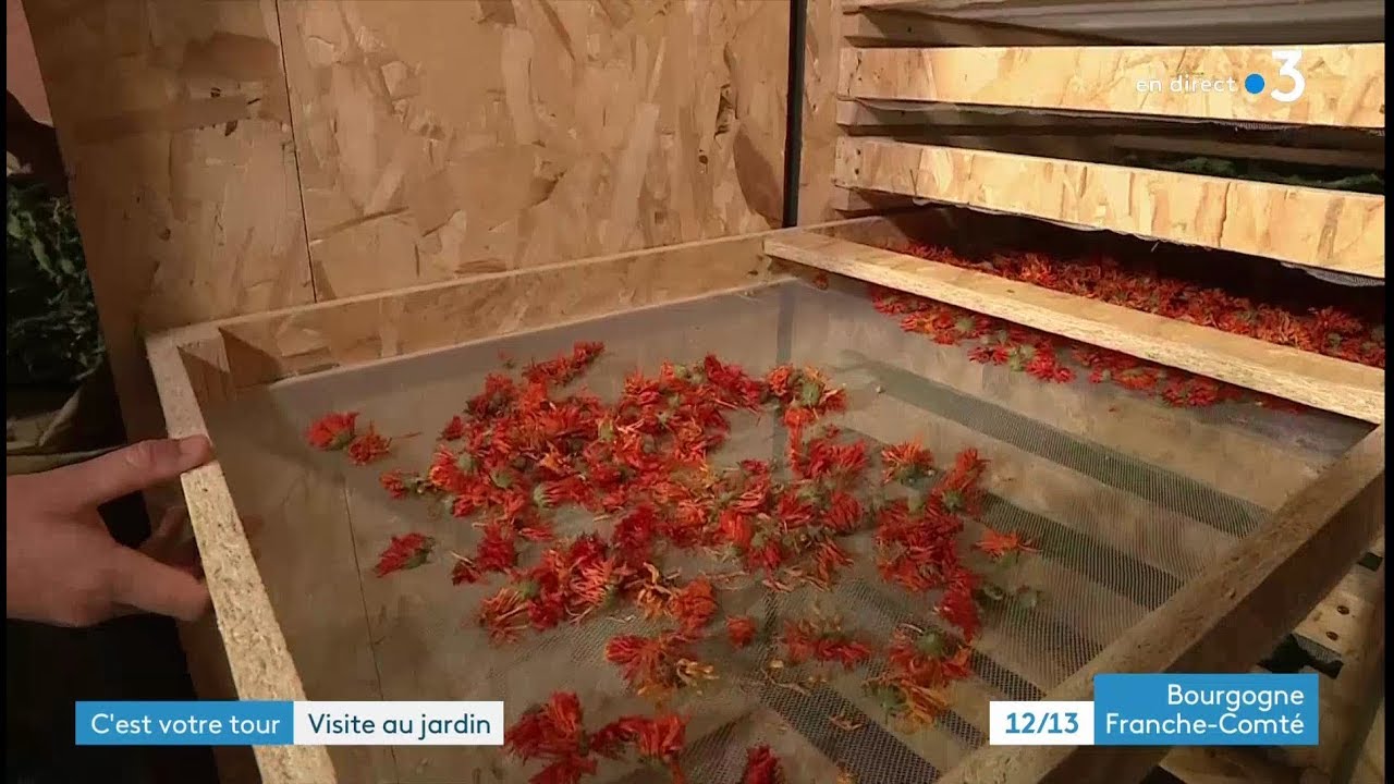 C'est votre tour - 