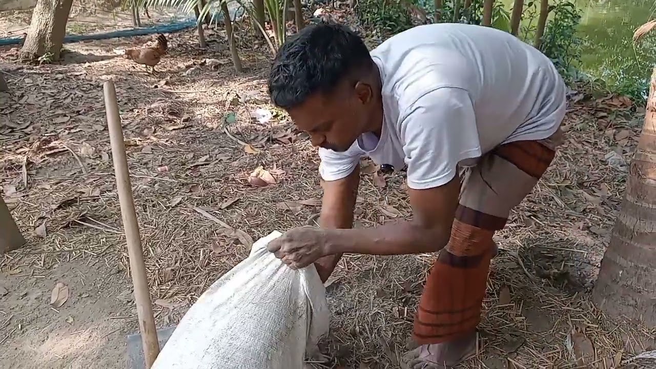 বাড়ির কাজ সফলভাবে সম্পন্ন।