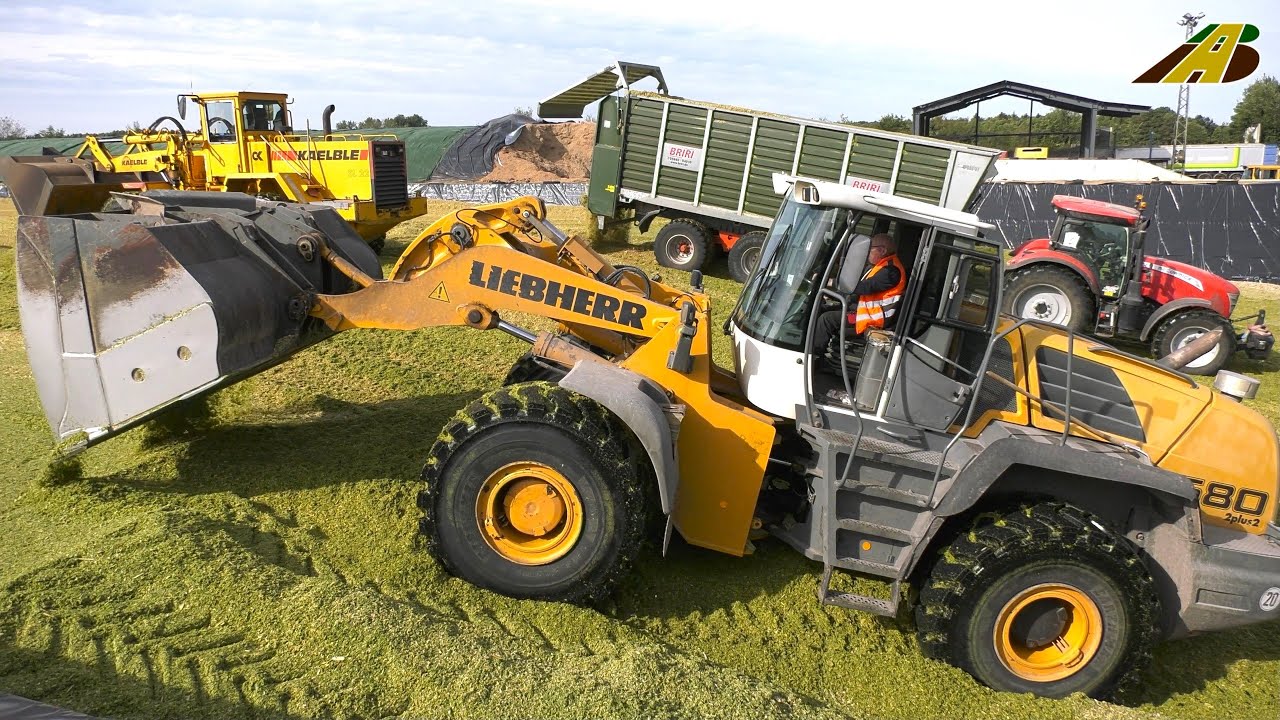 Großeinsatz Maishäckseln 2023 - Maisernte - 22 Traktoren, 3 Häcksler, 3 Radlader farmer corn harvest