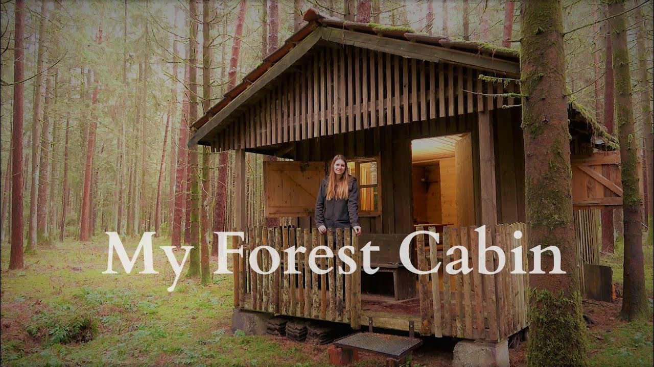 A Dream comes true 🌳🏡🌲The own forest cabin 🦊 Vanessa Blank - 4K