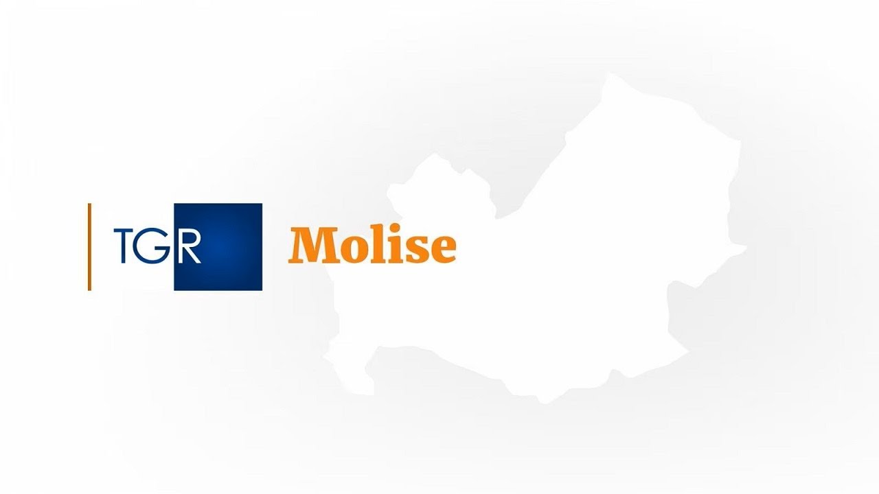 RAI3 TGR MOLISE - In Molise l'incidenza di infortuni mortali sopra la media nazionale - (31-12-2023)