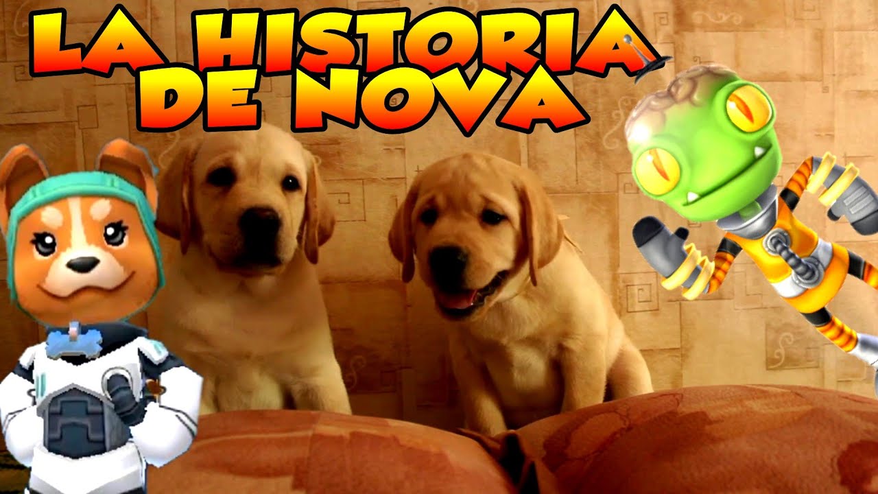 La Historia De Comandante NOVA Bb Racing
