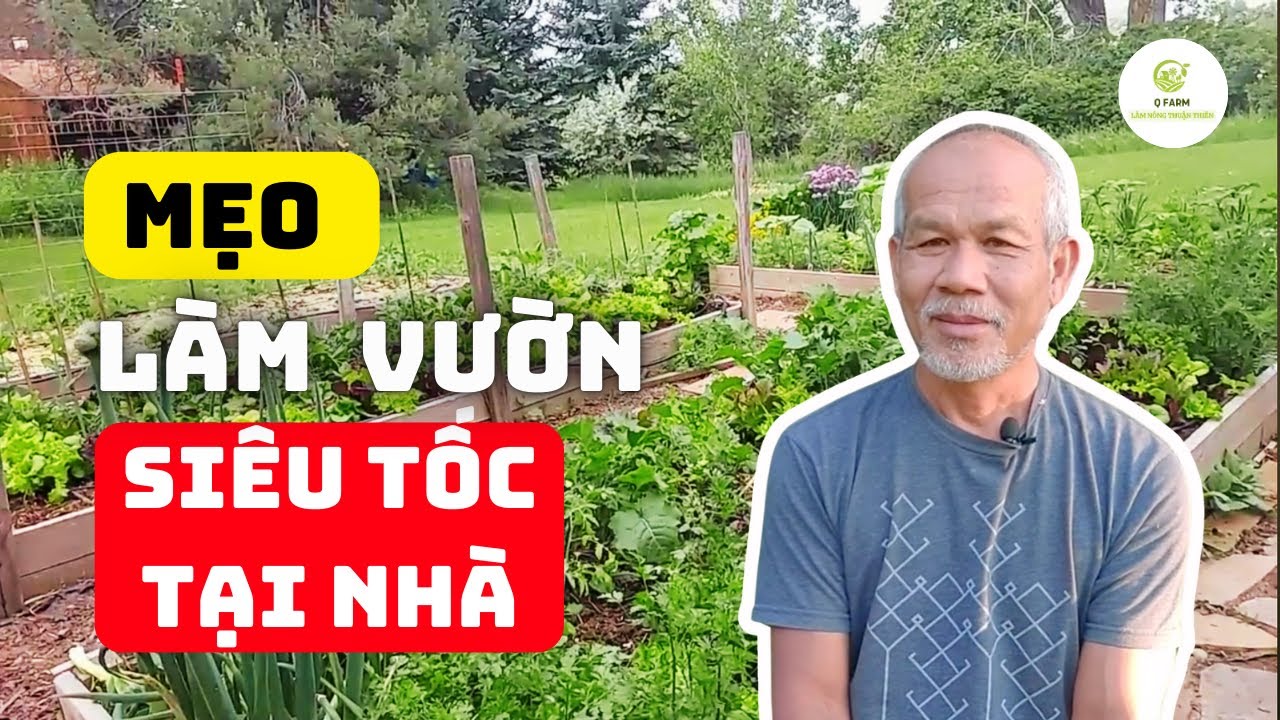 Muốn có VƯỜN RAU SẠCH chỉ trong 1 Tuần? Hãy thử MẸO đơn giản này- Jon Jandai