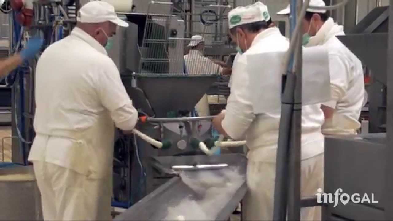 Caseificio Delizia - Noci spot
