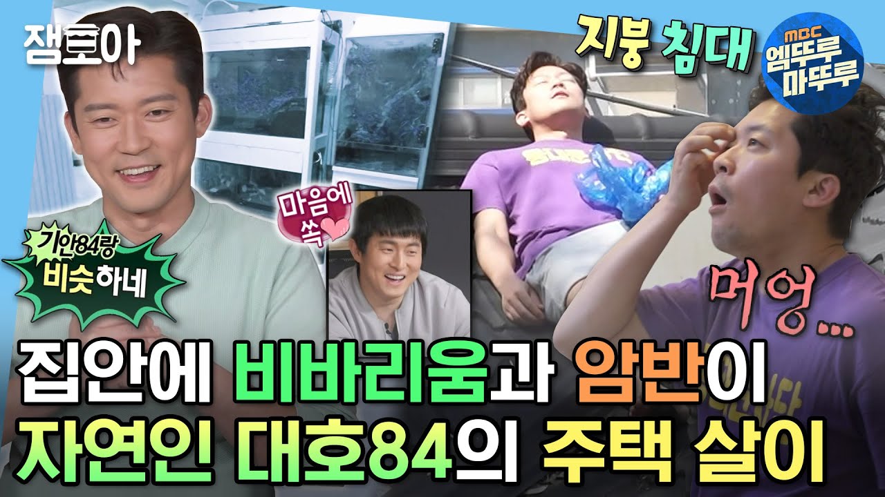 [#나혼자산다] 배우 이서진과 나영석PD 그 사이 어디쯤.. 기안84 재질 대호84의 내셔널 대호그래픽🌿🦎 | #김대호 #아나운서 MBC230421방송