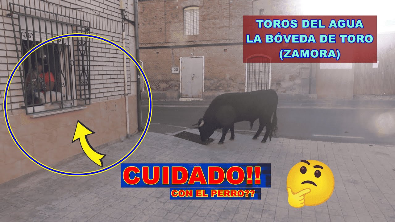 La Bóveda De Toro (Za). 