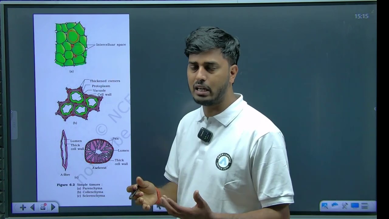 Day:-13 Anatomy of Flowering Plants #neet2026 #archlearning #RohitSir #biology
