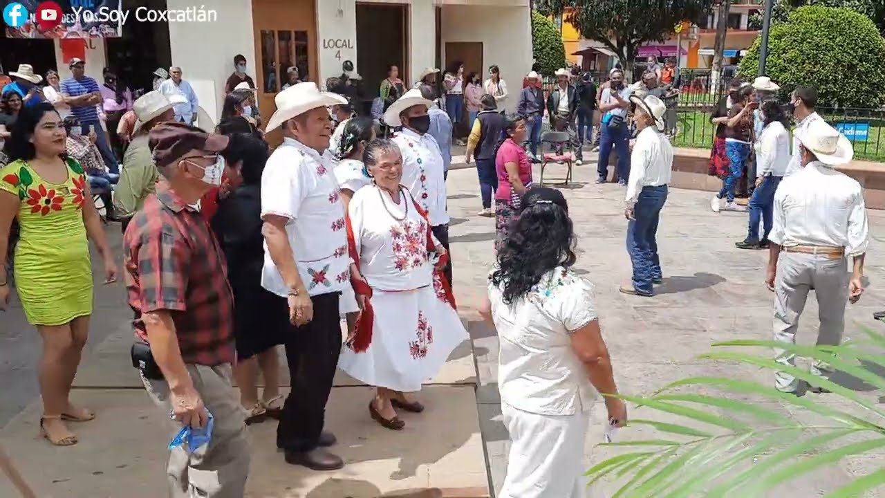 EN XILITLA, UNA BELLEZA DE HUAPANGO - TRÍO GALLITOS HUASTECOS - 