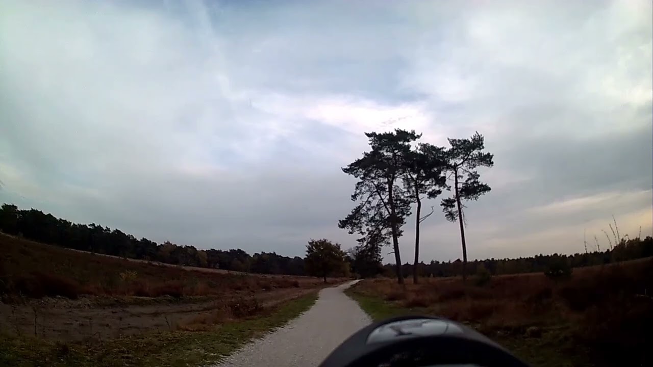 Timelapse Cycling in autumn The Netherlands