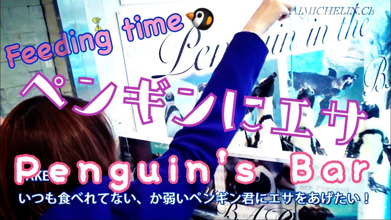 【ペンギンのいるBAR】池袋Penguin Barでエサをあげる！エイミシュラン