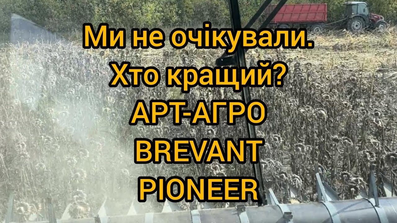 Уборка соняшника 30 09 2023. Хто кращий? АРТ-АГРО, BREVANT, PIONEER.