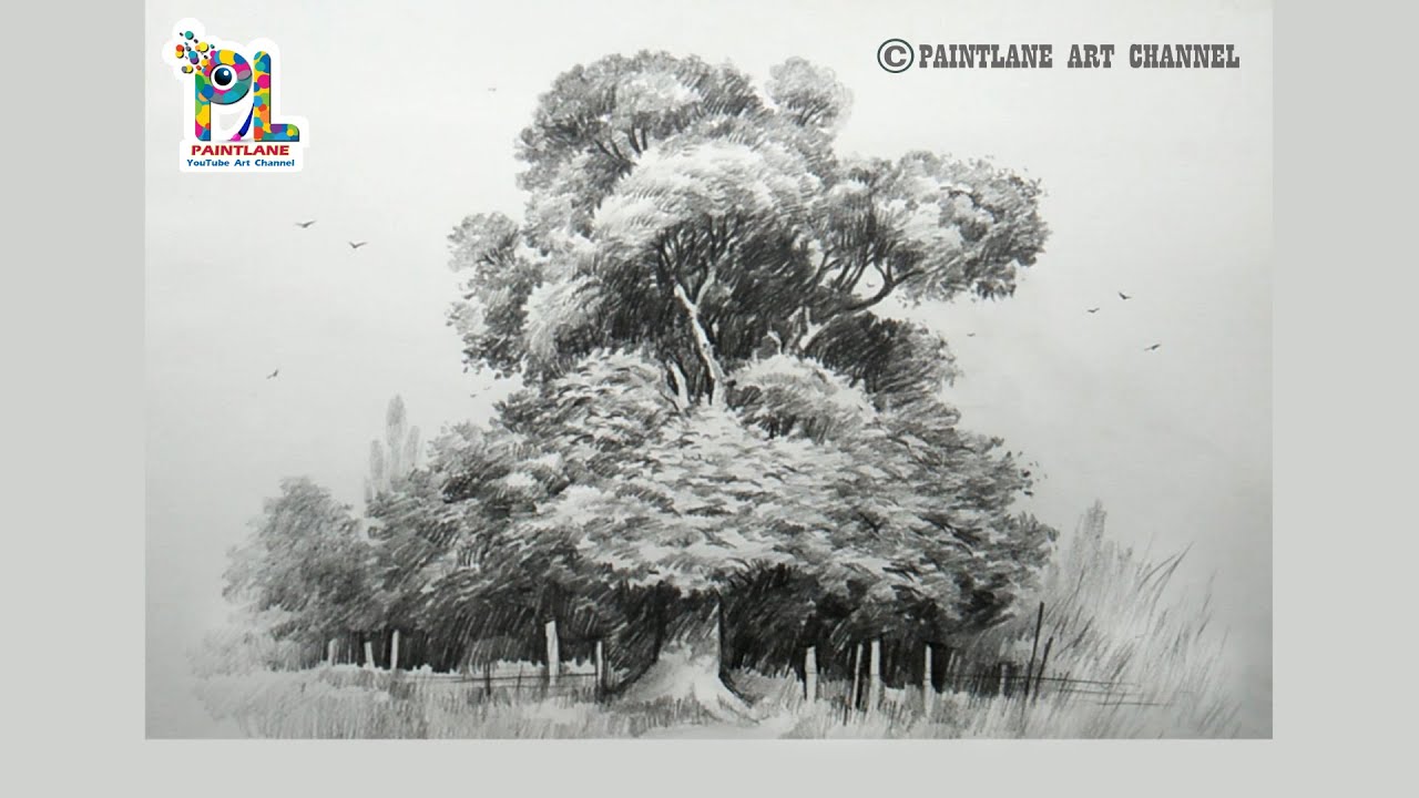 How to draw realistic tree pencil sketch and shading step by step pencil art