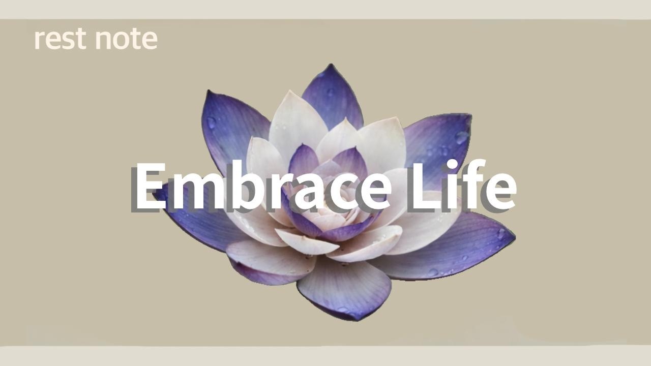 Embrace Life｜人生を受け入れて｜Playlist chill house  lo-fi
