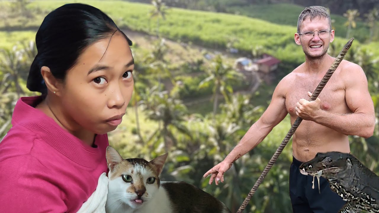 A new predator visited our chickens and stole some eggs | Province life with foreigners