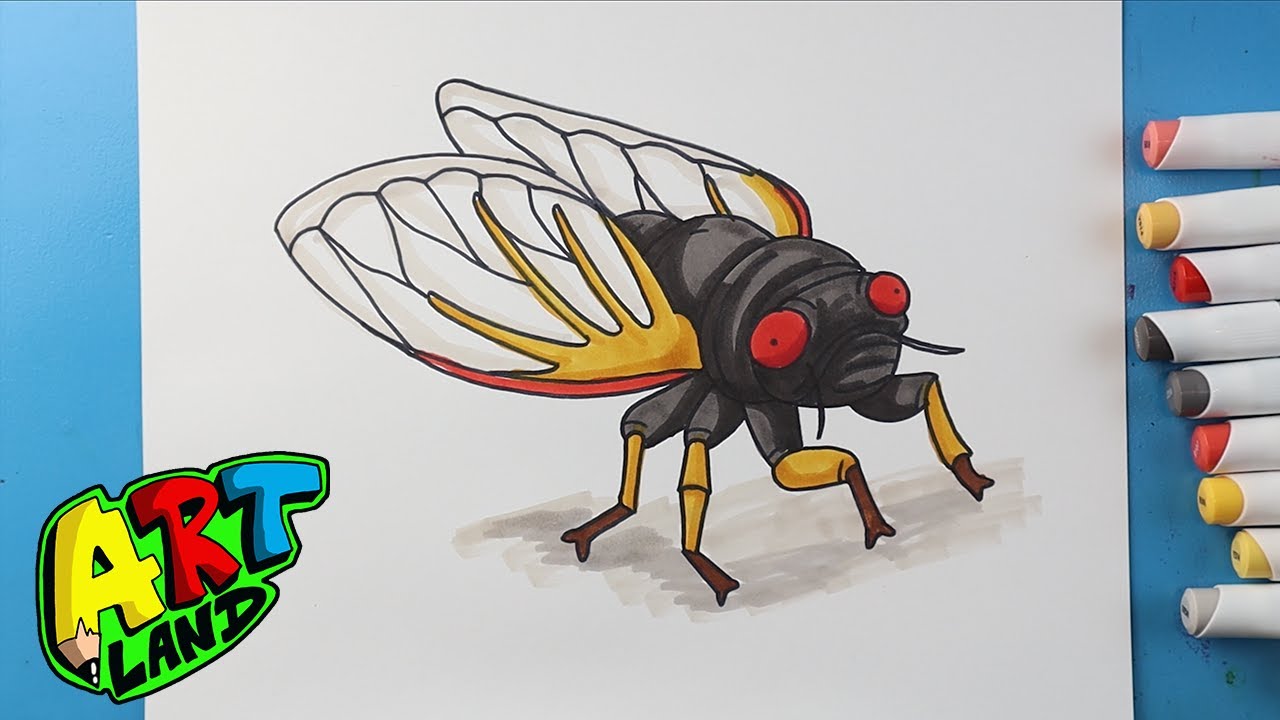 How to Draw a Cicada