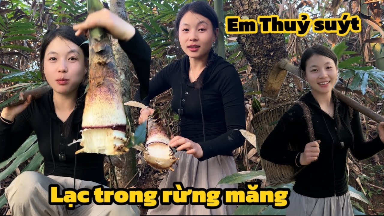 Em Thuỷ đào măng đầu mùa được toàn cây to, suýt thì em đi lạc ! | Em Thuỷ Lào Cai 
