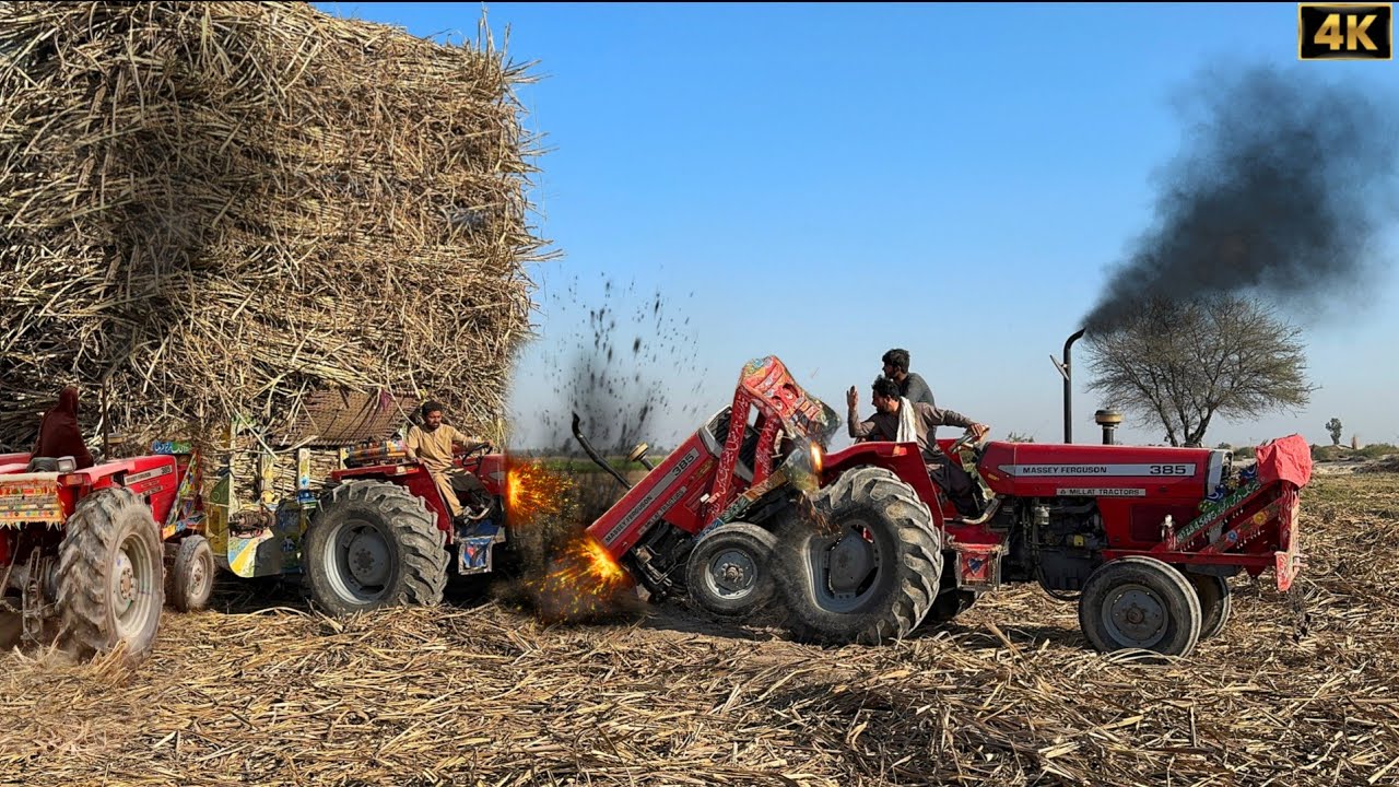 Mf 385 and Alghazi Tractor Amazing Power | Tractors pulling out sugarcane trolley | 4k Ultra HD 