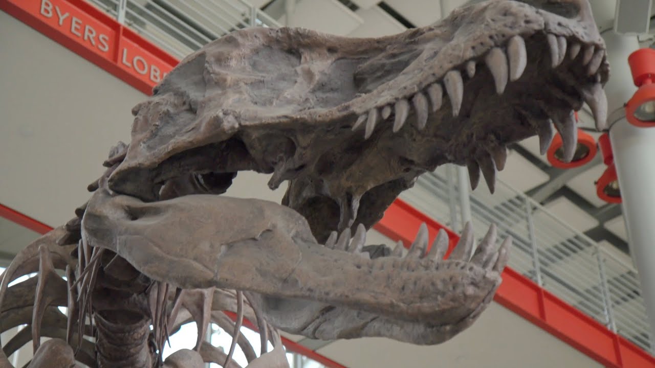 How The California Academy of the Sciences Gets Organized with Evernote