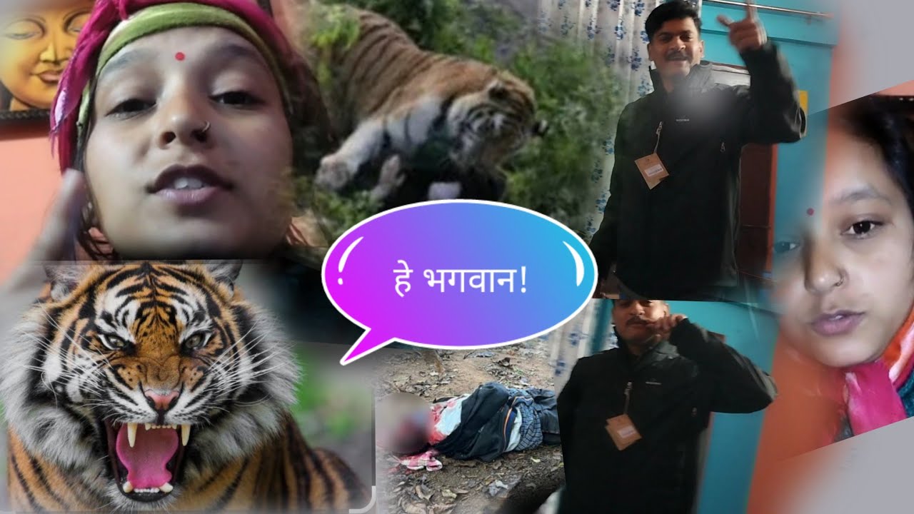  जंगली जानवरों 🐯 का आतंक 😱 daily routine 