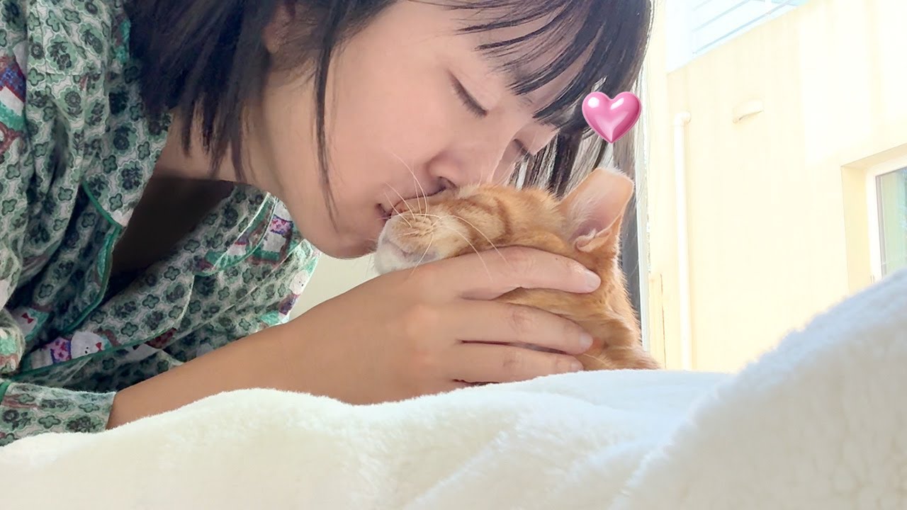 어느덧 집냥이 3년차