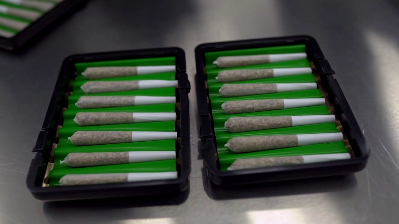 OGEN Cultivation - A Calgary Business