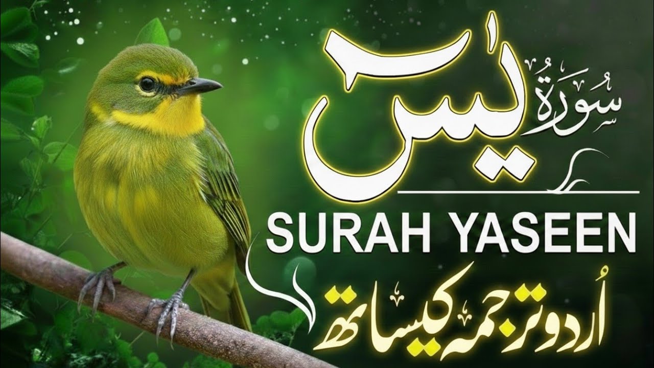 Surah Yasin (Yaseen) with Urdu and Hindi translation | Heart Of The Quran | Qari Mansoor Ghaznavi 