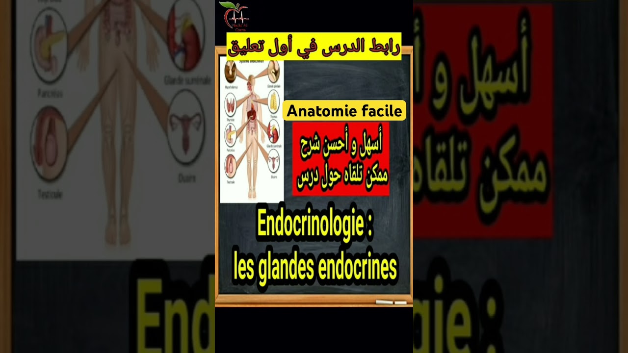 Endocrinologie : glandes endocrines (anatomie) شرح