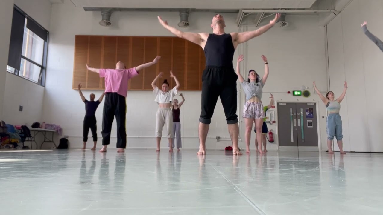 Bamberger Dance Projects — Teaching Reel, Commercial to Modern to Jazz