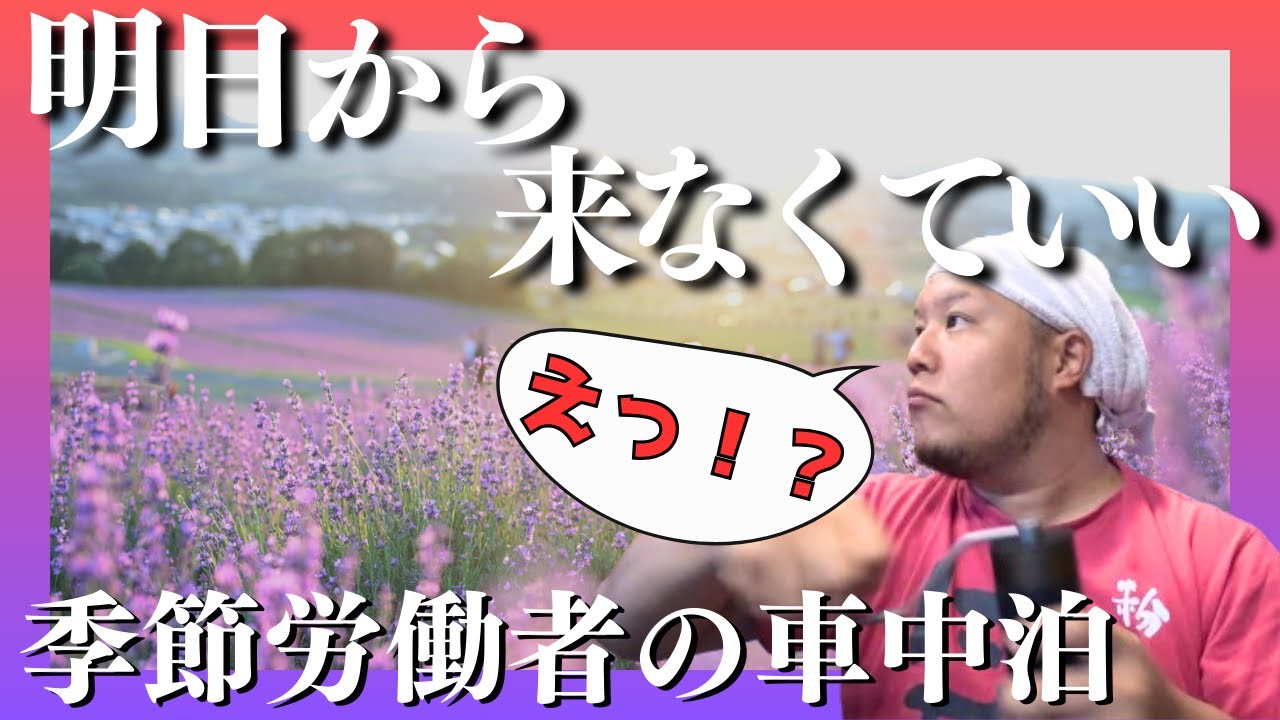 【車中泊】明日から来なくていいと言われたので花に癒されに行く【北海道】