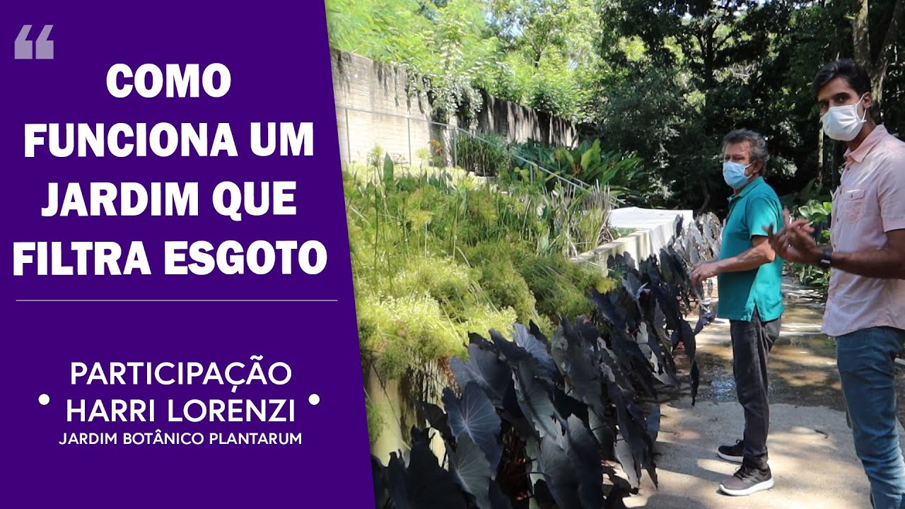 CONHEÇA UM JARDIM FILTRANTE NA PRÁTICA COM HARRI LORENZI | JARDIM BOTÂNICO PLANTARUM | 2de2