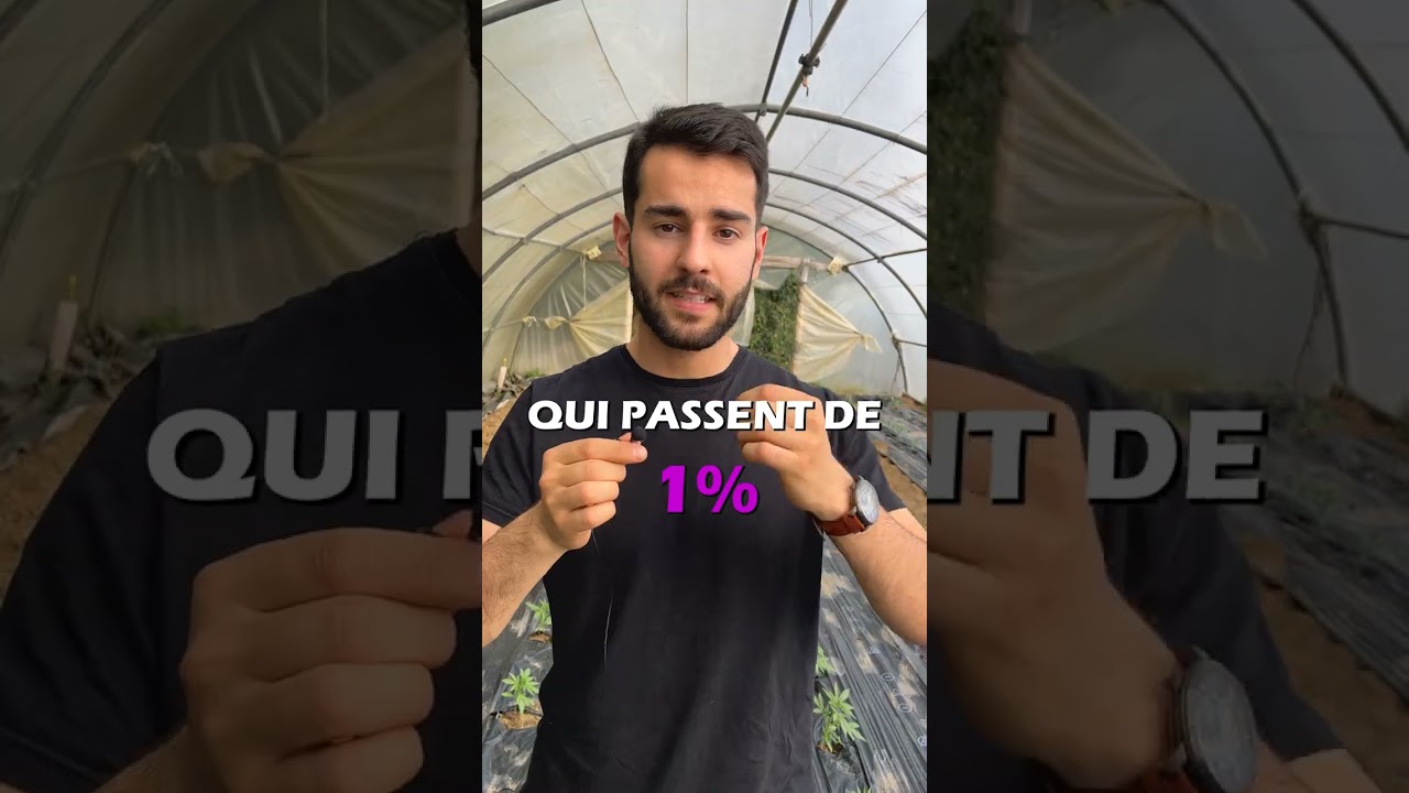 Les boutiques de CBD vous ARNAQUENT ! #cbdshops #chanvre #cbdc #cbdfrance #sant&eacute; #bienetre #plante