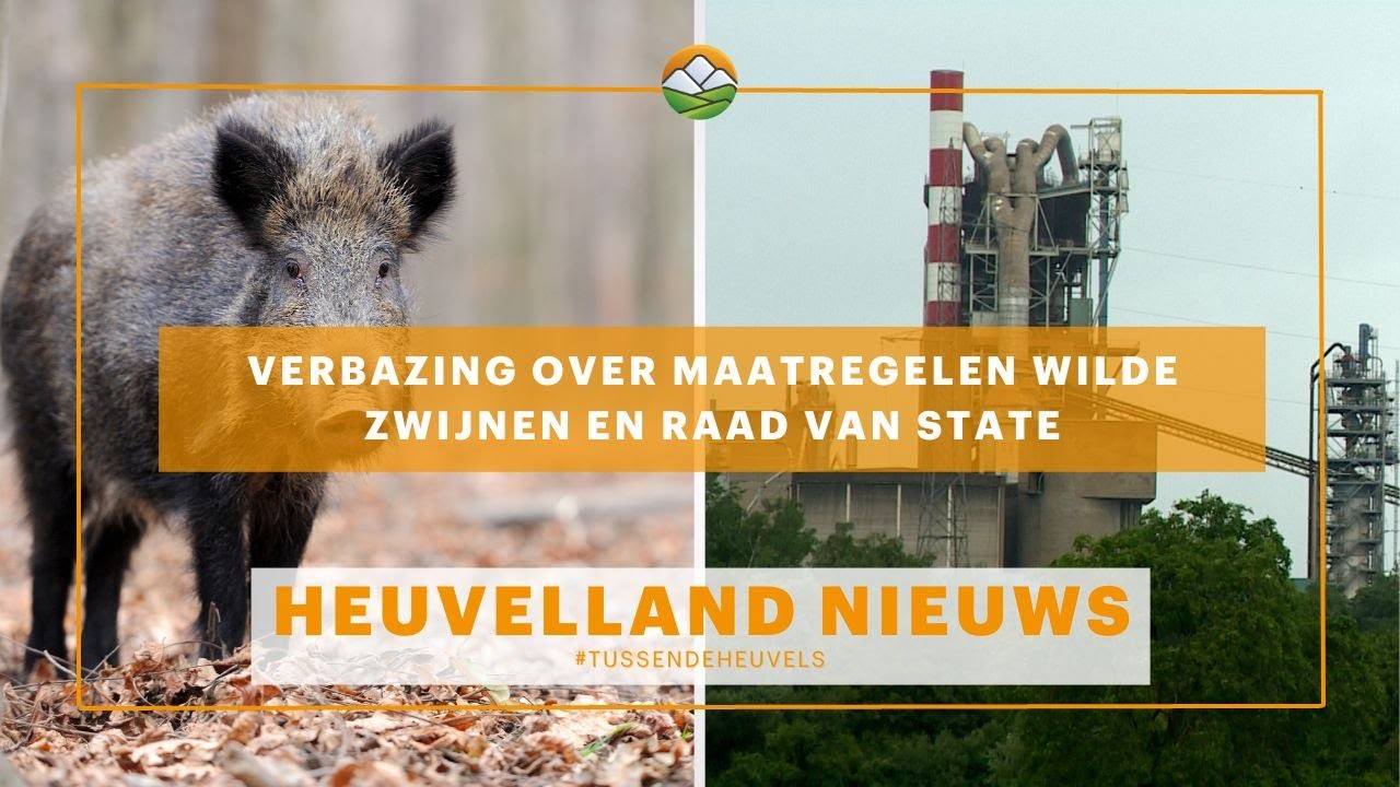 Heuvelland Nieuws: Verbazing over maatregelen wilde zwijnen