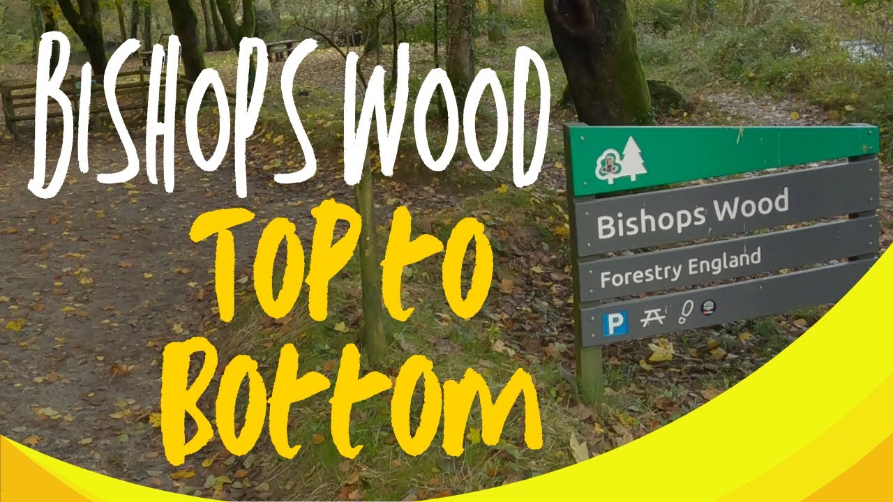 Bishops Wood top to Bottom Right hand trail Cornwall MTB Comencal ht meta ebike