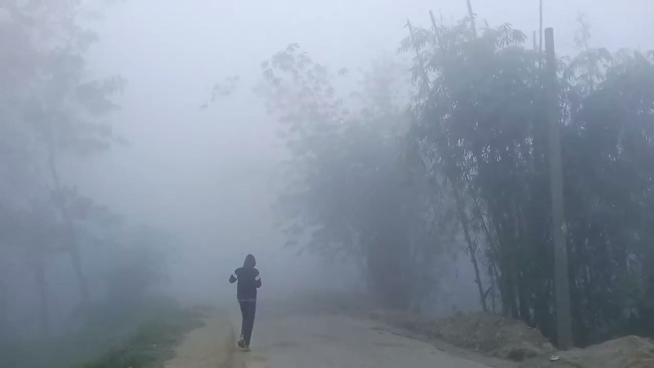 সেরা 