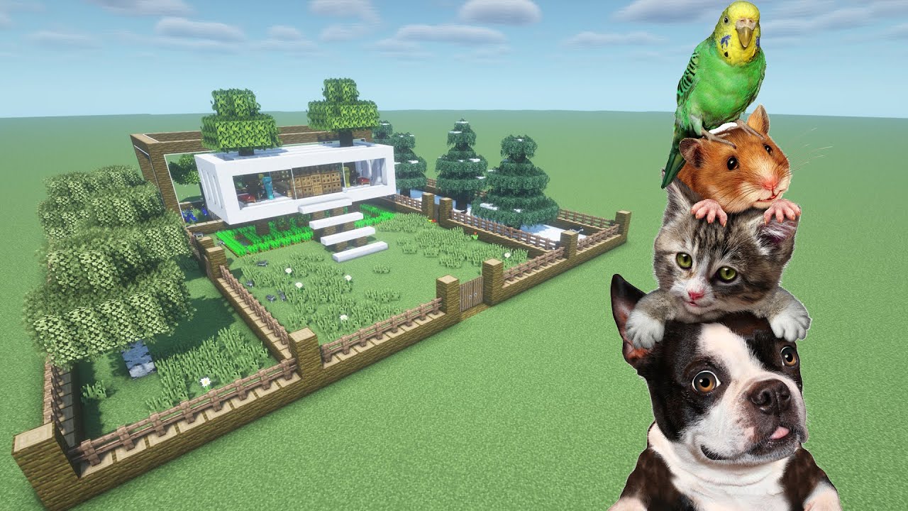 How To Make a Cat, Dog, Hamster, and Parrot Farm in Minecraft PE