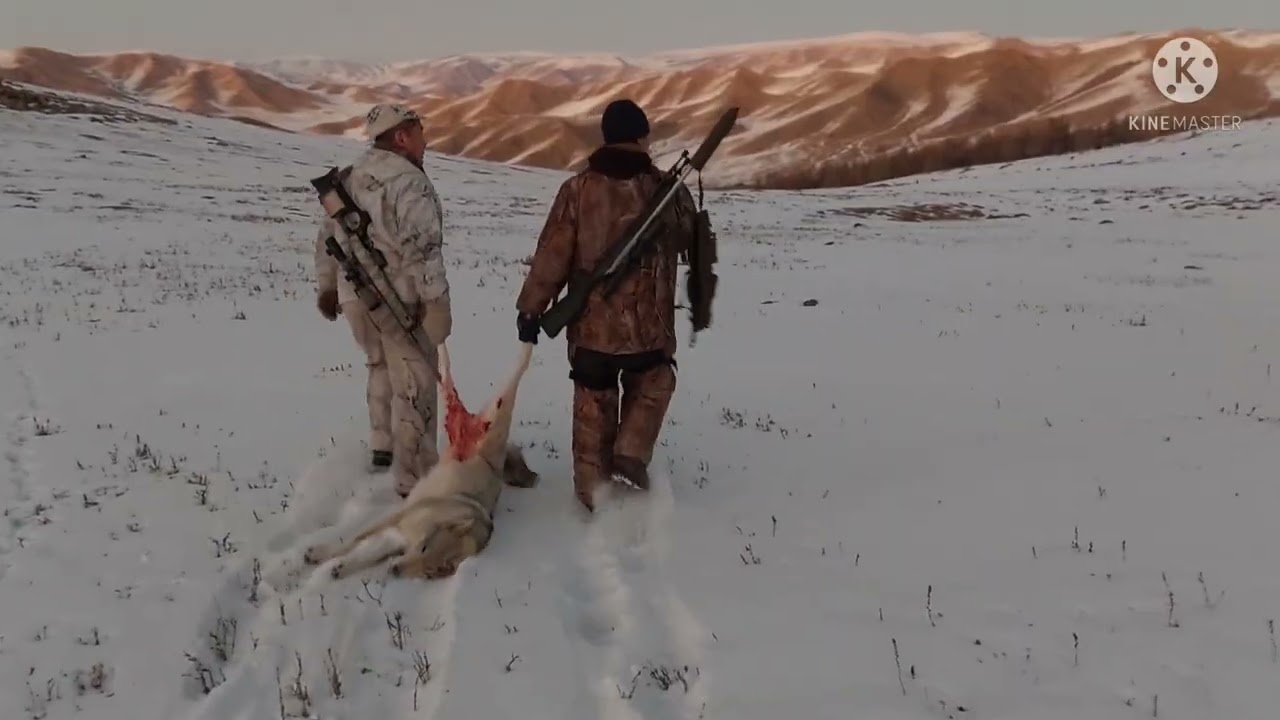 Mongolia UBS
