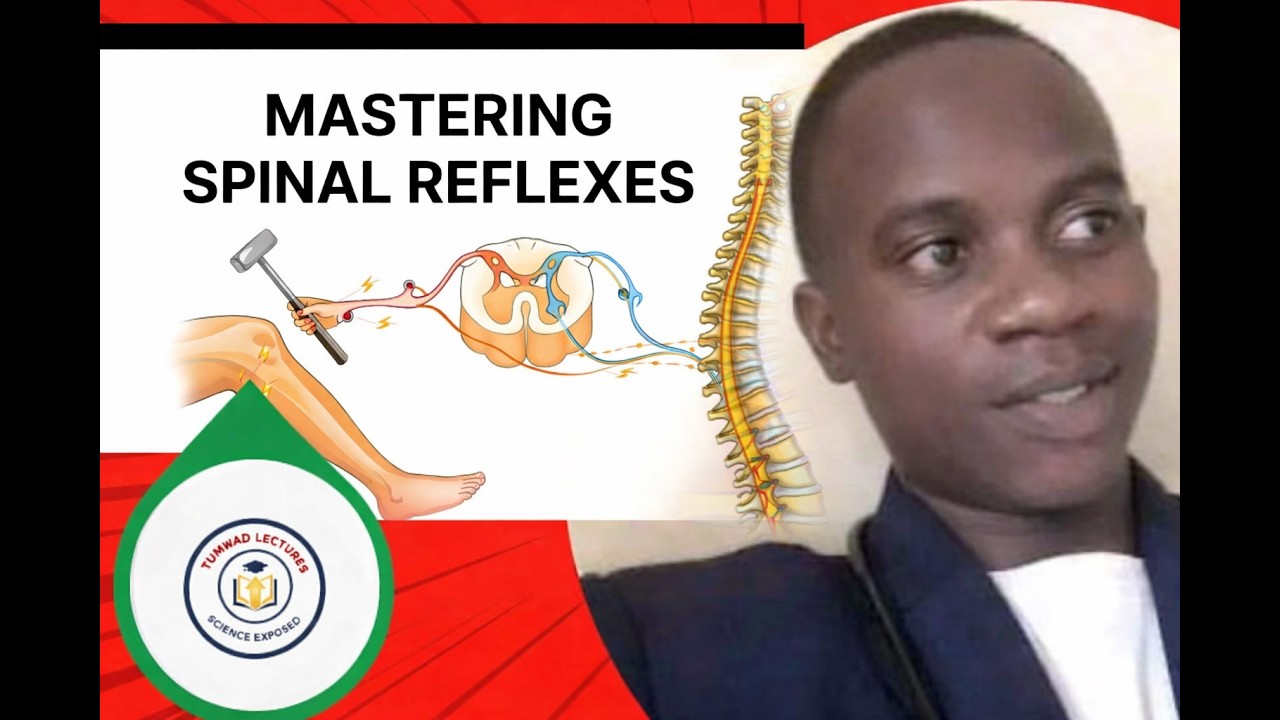 MASTERING SPINAL REFLEXES/ARC 