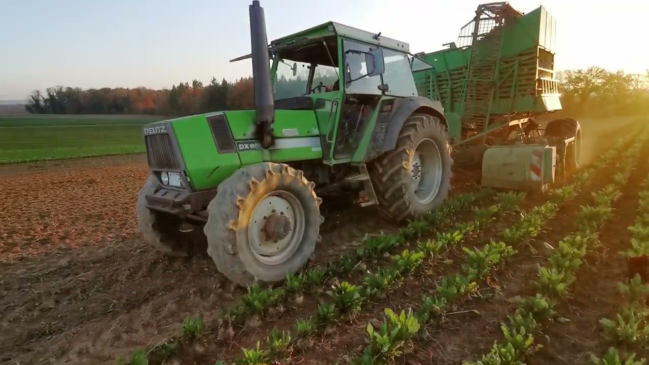 Vintage Sugarbeet Harvest DEUTZ DX 85, STOLL V202