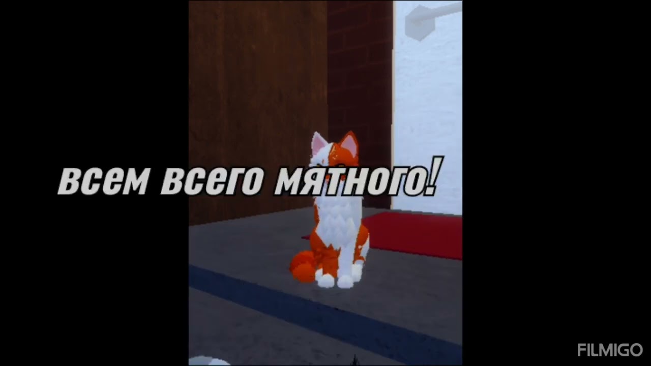 Вступайте к нам! 
