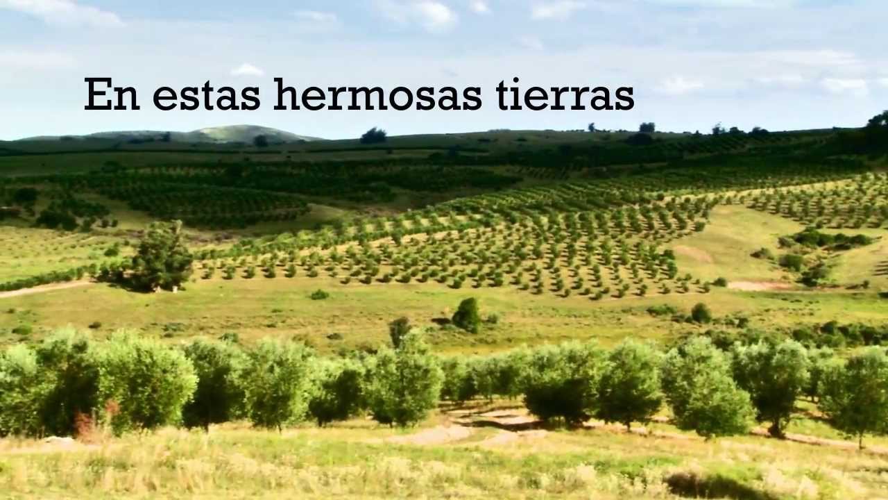 Extra virgen de Uruguay. Calidad que asombra al mundo.