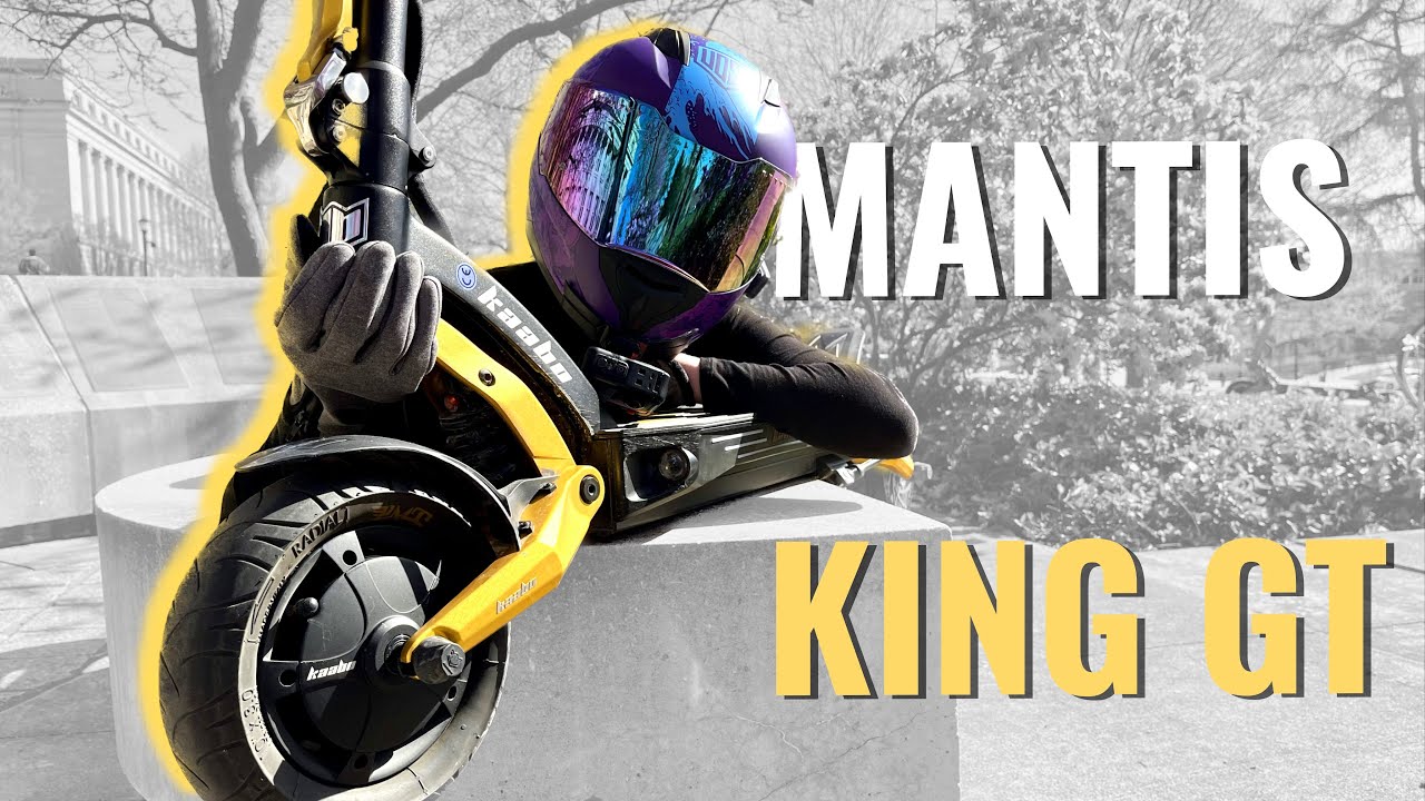 Mantis King GT vs. Vsett 10+ eScooter Comparison | 500 Mile Review