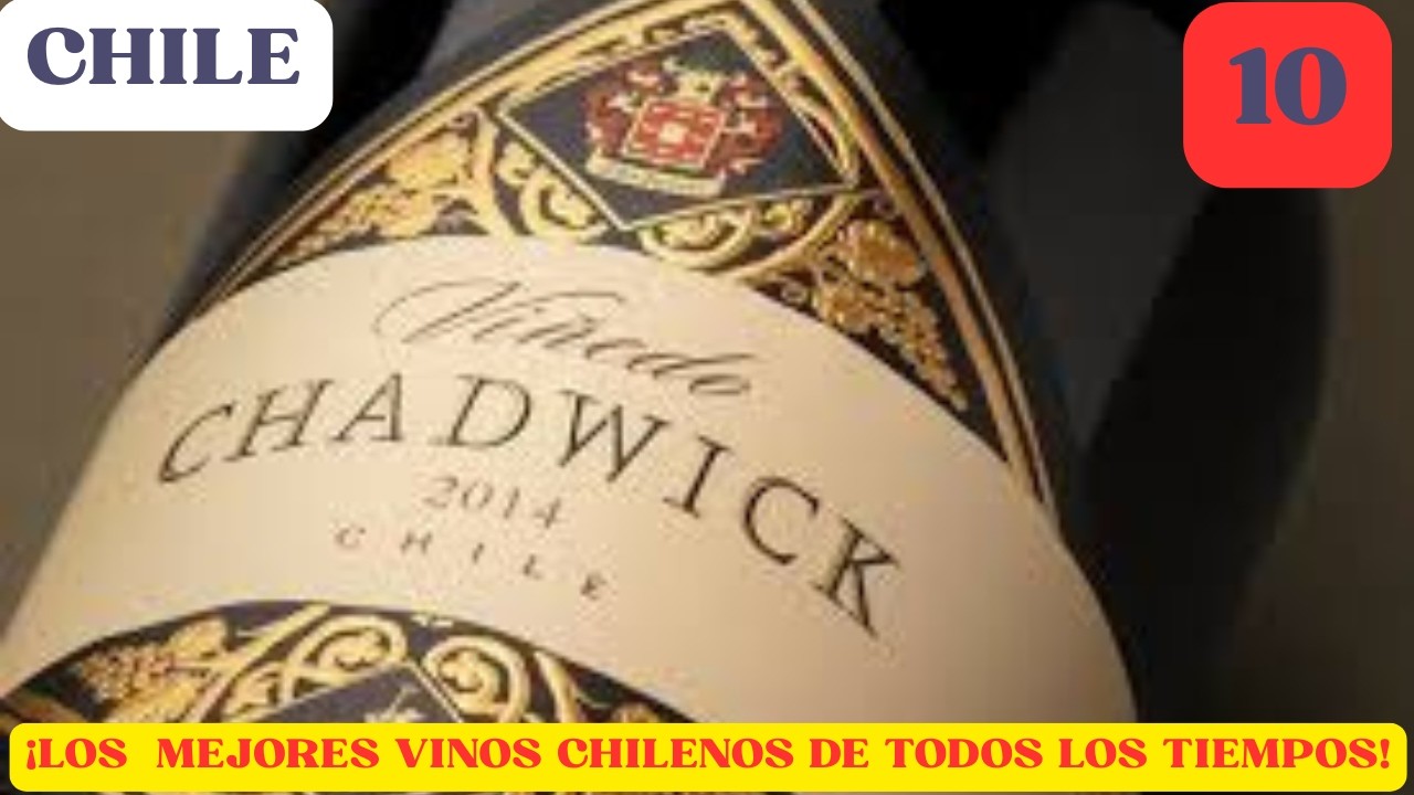 &iexcl;LOS 10 MEJORES VINOS CHILENOS DE TODOS LOS TIEMPOS!   @CyberTubeNews