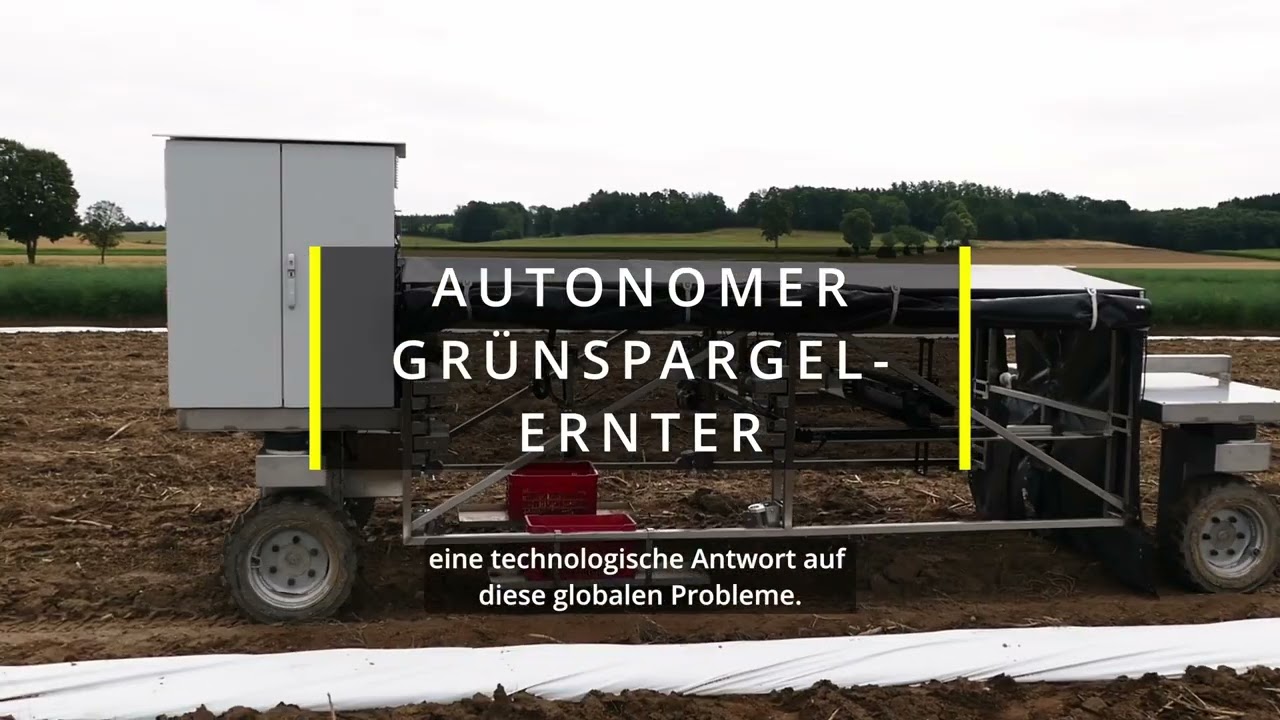 Autonomer Gr&uuml;nspargelernter Strauss / Autonomic Green Asparagus Harvester
