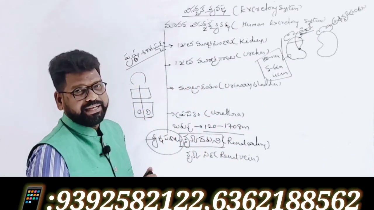 EXCRETORY SYSTEM TEACHING BY NARESH SIR DSC PET ONLINE CLASSES