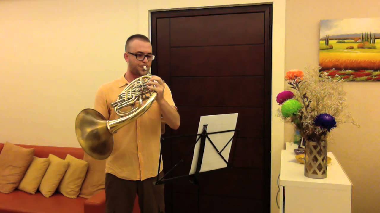 French Horn orchestra excerpts - Bach. 法國號樂團片段/ホルンオーケストラの抜粋/Horn Orchesterstellen