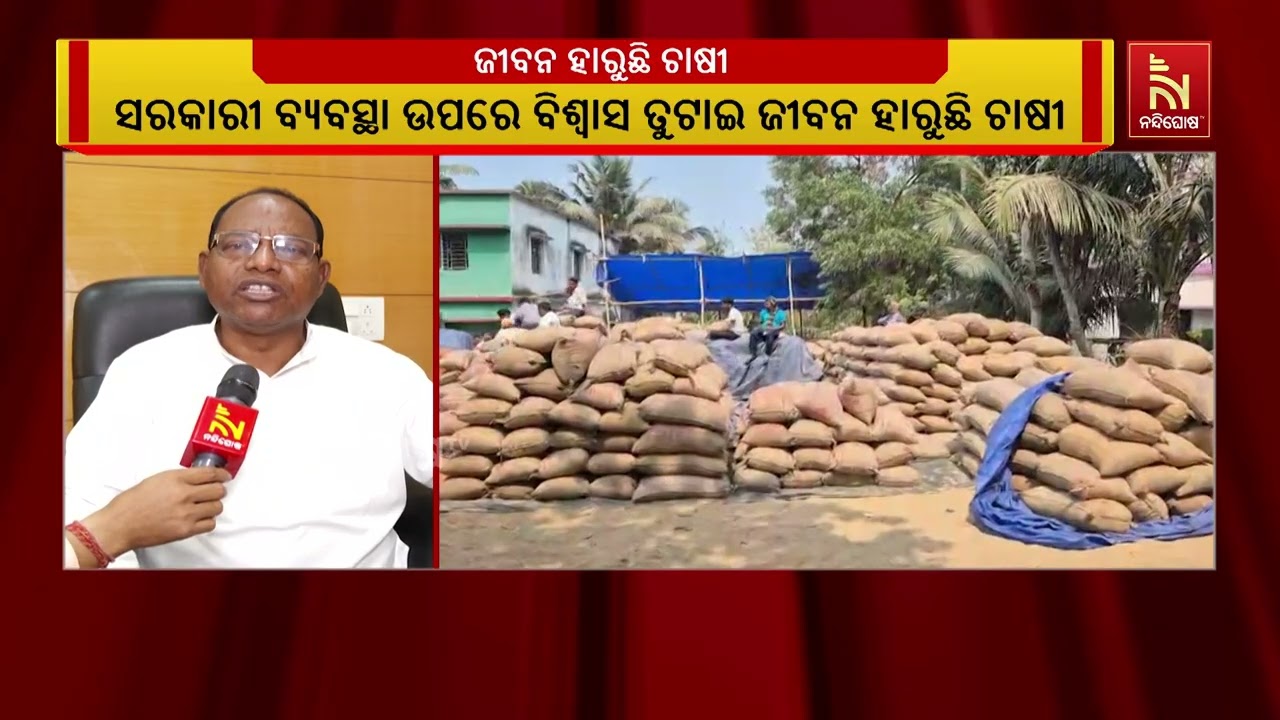 ରାଜ୍ୟରେ ଧାନ ବିକ୍ରି କରିପାରୁନି ଚାଷୀ  । ସରକାରୀ ବ୍ୟବସ୍ଥା ଉପରେ ବିଶ୍ୱାସ ତୁଟାଇ ଜୀବନ ହାରୁଛି ଚାଷୀ  ।