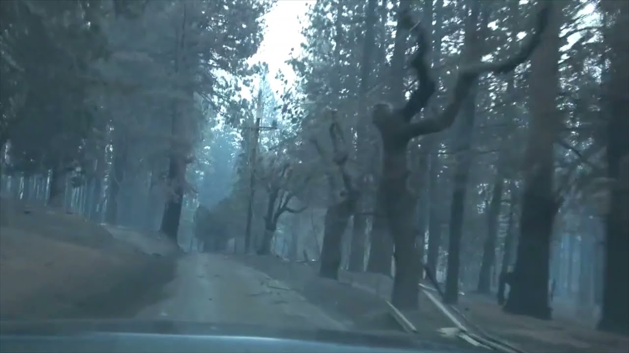 Grizzly Flats Left Destroyed by Caldor Wildfire