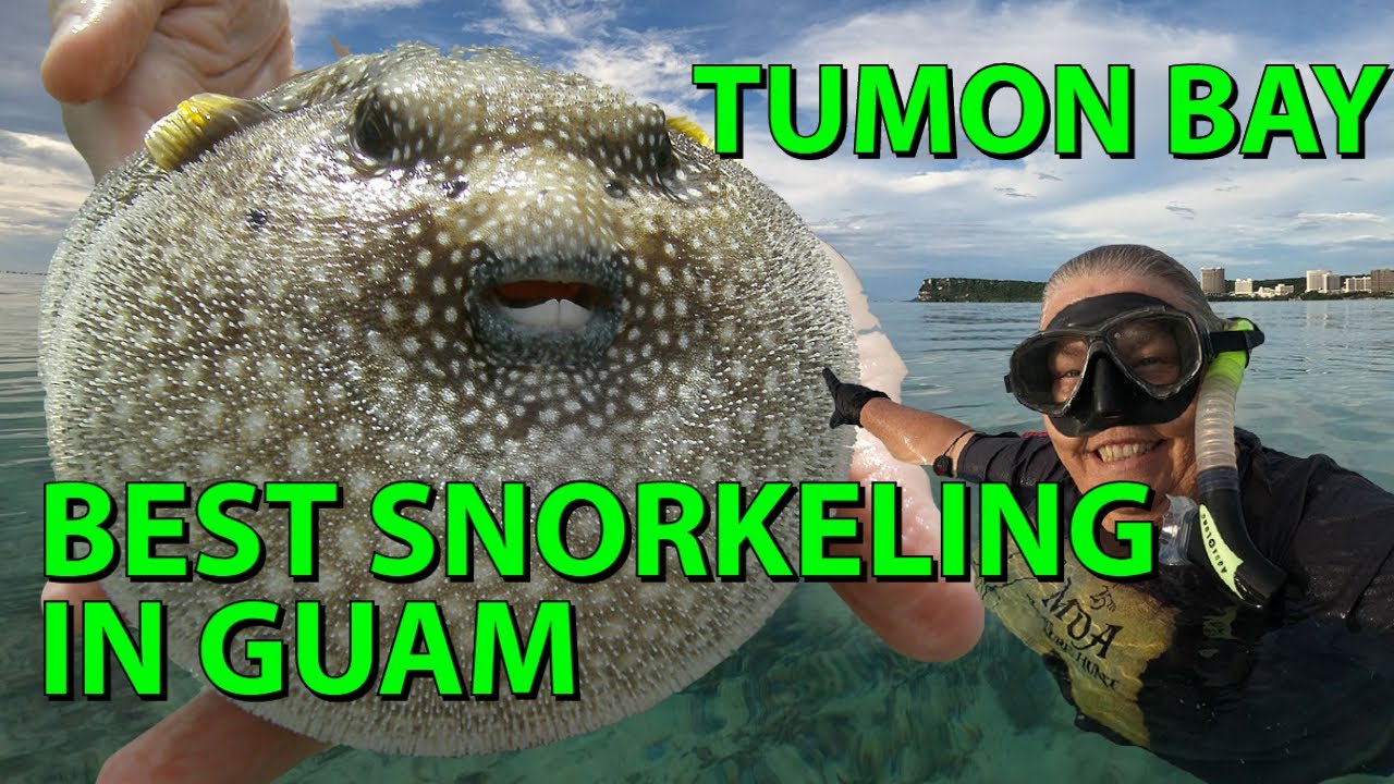 Best Snorkeling in Guam - Tumon Bay