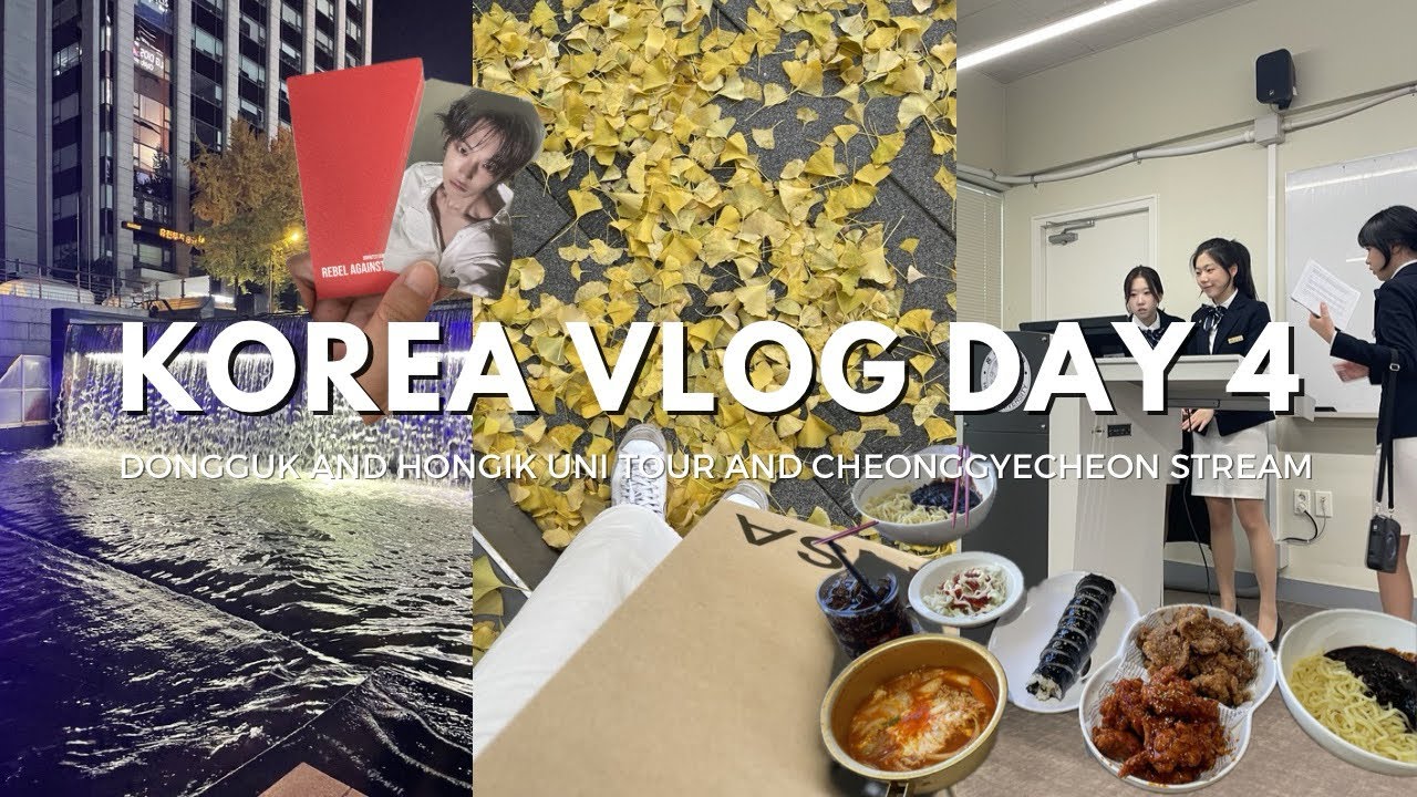 Korea vlog: Hongik and Dongguk University tour | going to the Cheonggyecheon stream late at night ⛲️